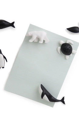 Набор из 6 магнитов для холодильника save the ocean Черно-Белый фото