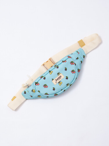 Сумка ЗАПОРОЖЕЦ Frukti Small Waist Bag ZIP Blue фото 7