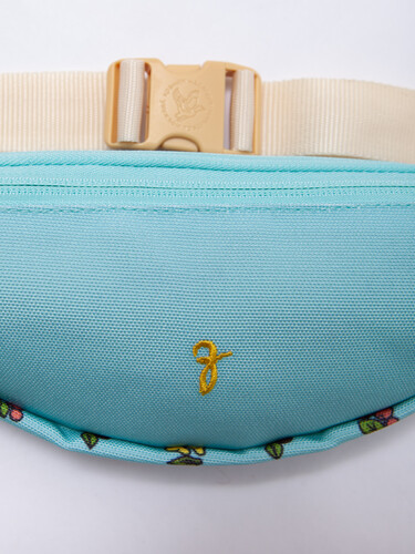 Сумка ЗАПОРОЖЕЦ Frukti Small Waist Bag ZIP Blue фото 9