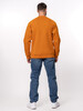 Джемпер NCF Sweatshirt 110900600 Mustard фото 6