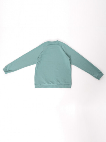 Джемпер NCF Sweatshirt 110900900 Wasabi фото 22