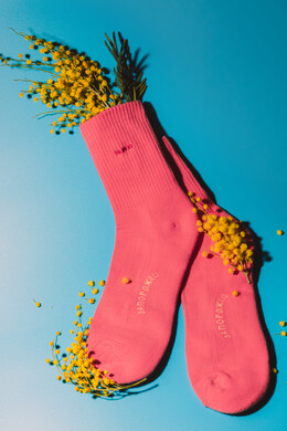 Носки ЗАПОРОЖЕЦ Mir Pro Socks Pink фото