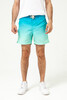 Шорты TRUESPIN Gradient Shorts Blue Gr фото