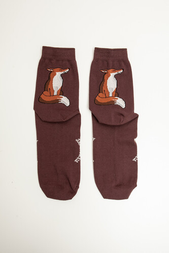 Носки ЗАПОРОЖЕЦ Лиса Коричневый фото 14