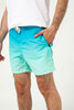 Шорты TRUESPIN Gradient Shorts Blue Gr фото 2