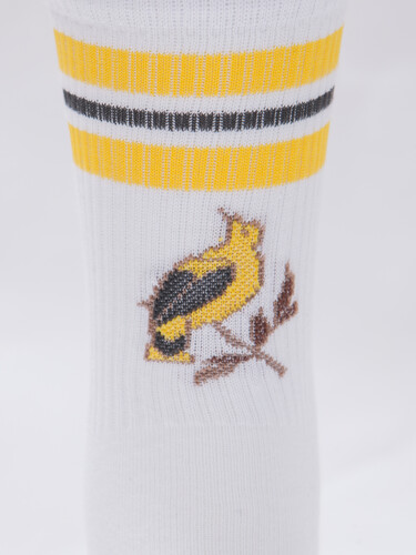 Носки ЗАПОРОЖЕЦ Спорт Канарейка Белый фото 15