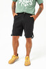 Шорты TRUESPIN FF-SS016 Black фото 2