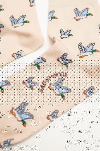 Носки ЗАПОРОЖЕЦ Дичь Светло-Бежевый фото 8