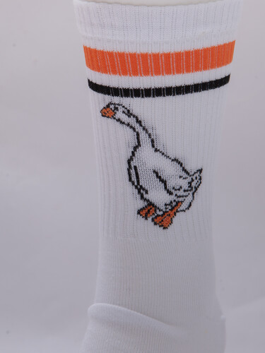 Носки ЗАПОРОЖЕЦ Спорт Гусь Белый фото 18