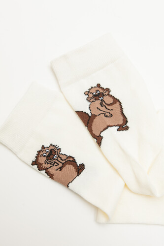 Носки ЗАПОРОЖЕЦ Бобры Светло-Бежевый фото 22