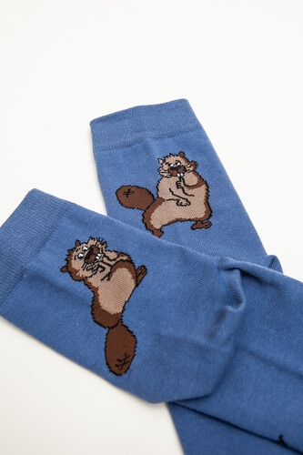 Носки ЗАПОРОЖЕЦ Бобры Светлый Джинс фото 24