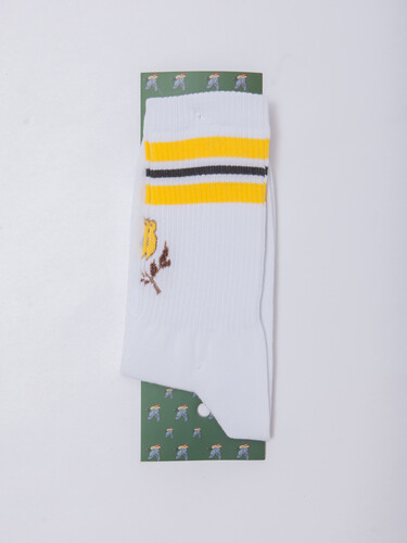 Носки ЗАПОРОЖЕЦ Спорт Канарейка Белый фото 20