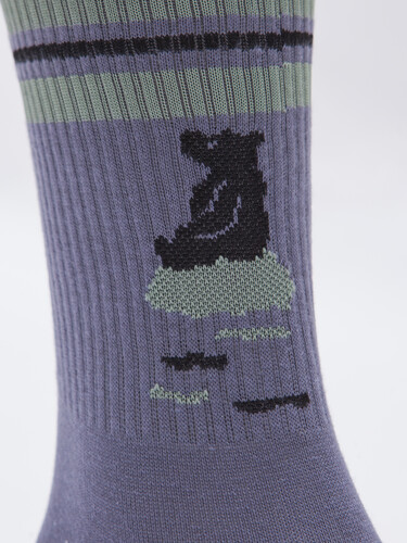 Носки ЗАПОРОЖЕЦ Спорт Мишка Серый фото 33