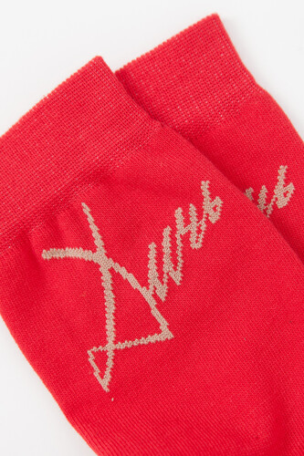 Носки ЗАПОРОЖЕЦ Дичь Каллиграфия Красный фото 34
