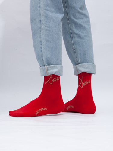 Носки ЗАПОРОЖЕЦ Дичь Каллиграфия Красный фото 20