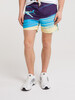 Шорты ЗАПОРОЖЕЦ Samolet Purple/Multi фото