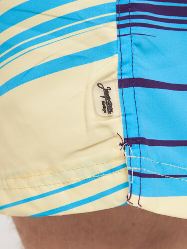 Шорты ЗАПОРОЖЕЦ Samolet Purple/Multi фото 11