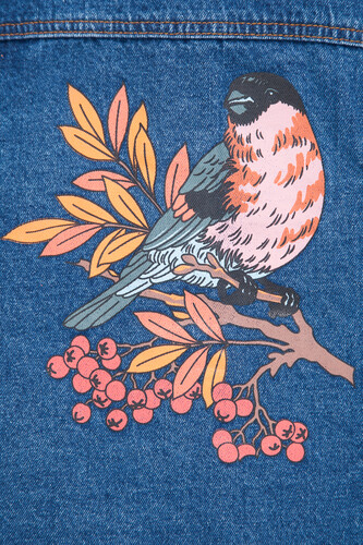 Джинсовка ЗАПОРОЖЕЦ Ptichka/ Птичка Classic Blue фото 18