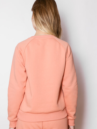 Свитшот с начесом РОДИНА Через тернии к звездам (женский) Персиковый фото 4