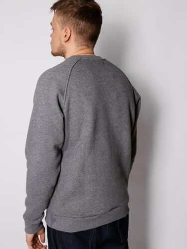 Свитшот с начесом РОДИНА Base (мужской) Темно-Серый фото 7