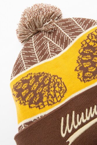 Шапка ЗАПОРОЖЕЦ Shishki (детская) Brown фото 14