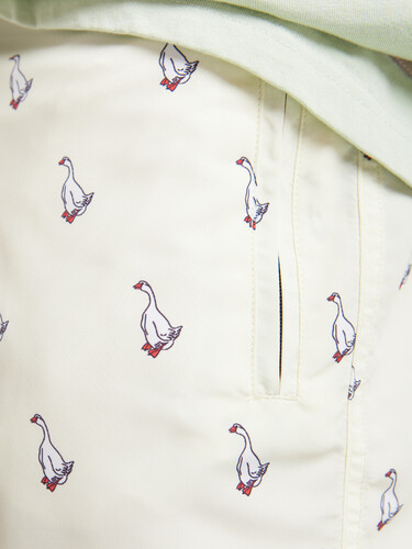 Шорты ЗАПОРОЖЕЦ Гуси/Gusi Beige фото 14