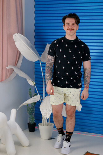 Шорты ЗАПОРОЖЕЦ Гуси/Gusi Beige фото 17