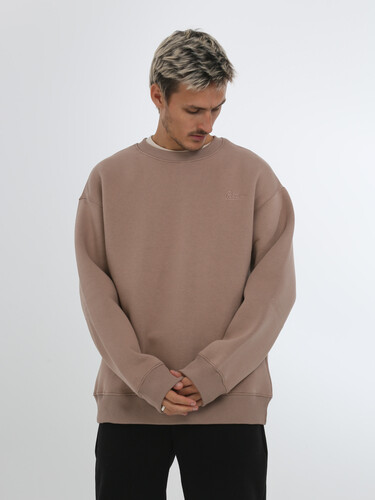 Свитшот с начесом РОДИНА Оверсайз (мужской) Тауп фото 5