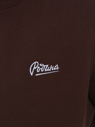 Худи РОДИНА Base (мужское) Шоколад фото 5