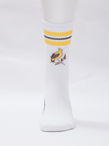 Носки ЗАПОРОЖЕЦ Спорт Канарейка Белый фото 13