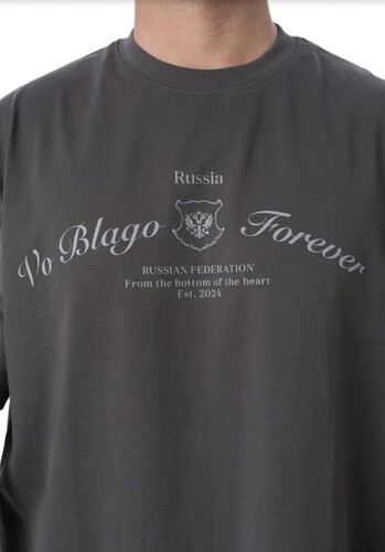 Футболка VoBlago FTB-GREY-RUS Серый фото 10