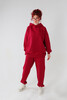Худи NICE TWICE Бордовый фото 5