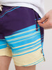 Шорты ЗАПОРОЖЕЦ Samolet Purple/Multi фото 4