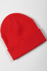 Шапка TRUESPIN No Flag FW19 Red фото 2