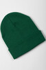 Шапка TRUESPIN No Flag FW19 Green фото 2