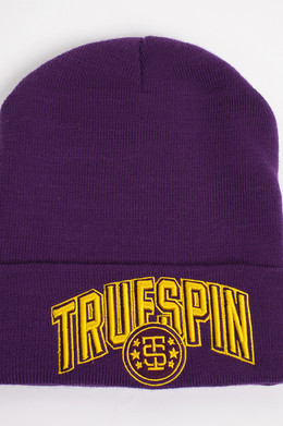 Шапка TRUESPIN Baseball Classic Purple фото
