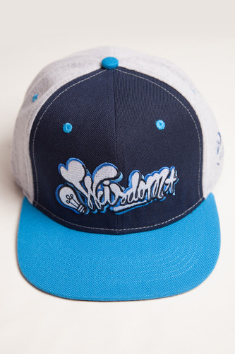 Бейсболка TRUESPIN Wisdom Strapback Black/Blue фото 6